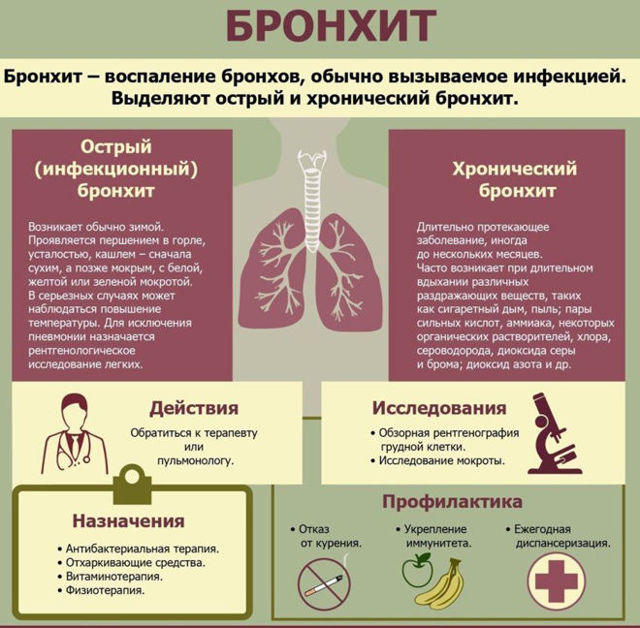 Бронхит - симптомы и лечение у взрослых и детей: причины и первые признаки, как диагностировать и лечить болезнь