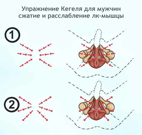 Частое мочеиспускание у мужчин с болью и без боли – причины и методы профилактики. Лечение частого мочеиспускания у мужчин - Автор Екатерина Данилова