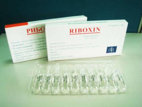 Рибоксин – инструкция по применению в таблетках и ампулах, дозировка, противопоказания и отзывы