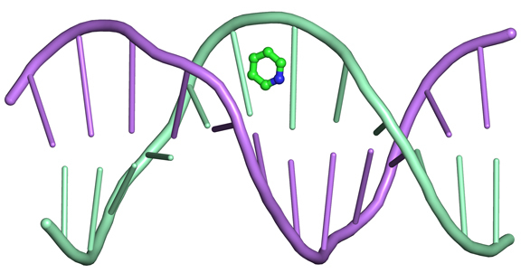 Диагностика рака легких на ранних стадиях, методы диагностики рака легких