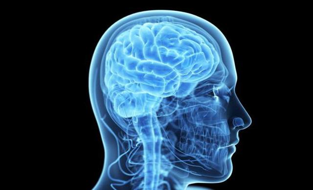 Ноотропил капсулы - официальная инструкция по применению, аналоги