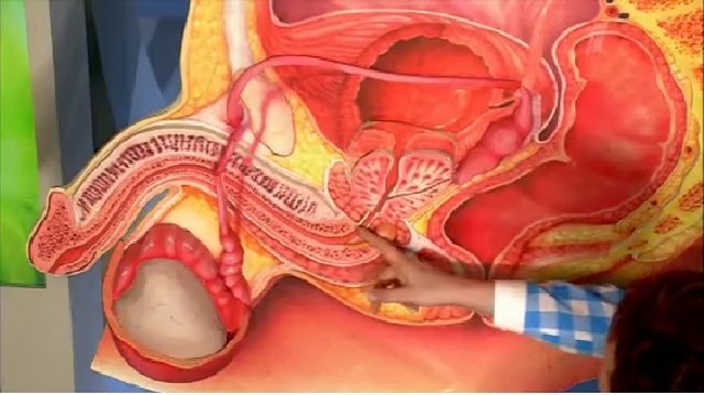 Больно писать мужчине или женщине: основные причины проблем при мочеиспускании, особенности лечения