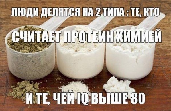 Можно ли считать протеин химией или натуральным продуктом. 5 мифов о белках