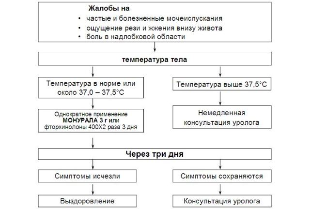 Цистит у мужчин - виды, причины, симптомы и лечение