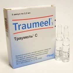 Траумель С (Traumeel S) таблетки - инструкция по применению, описание препарата