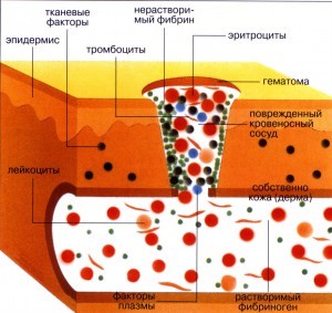 Свертываемость крови по сухареву норма у детей - Лечение гипертонии