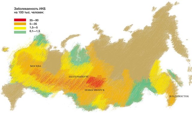 Клещевой боррелиоз - симптомы, признаки и причины болезни Лайма