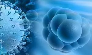 Панавир: свечи вагинальные и ректальные, инструкция по применению