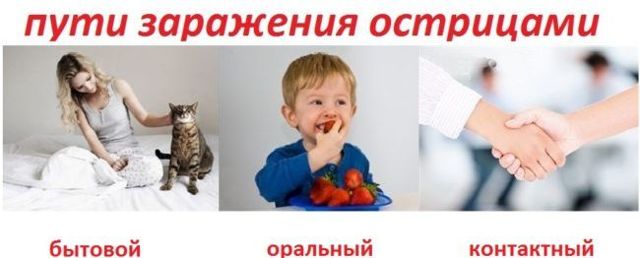 Инструкция по применению суспензии Немозол от глистов детям, цены и отзывы родителей