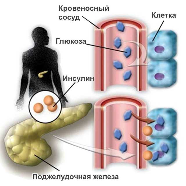 Глюкофаж Лонг - официальная инструкция по применению, аналоги
