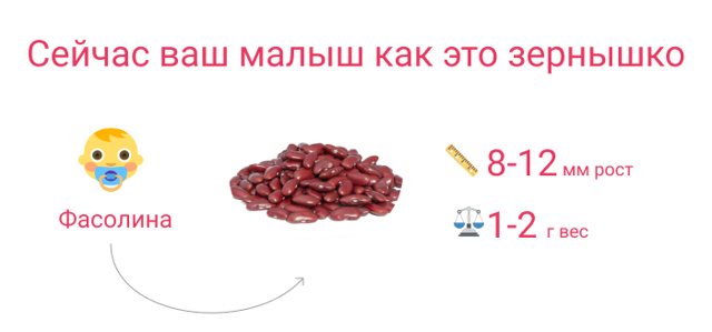 Седьмая неделя беременности