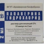 Свечи с папаверином: инструкция по применению при беременности и отзывы