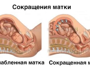 Свечи с папаверином: инструкция по применению при беременности и отзывы