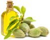 Омега-3 продукты богатые омега-3