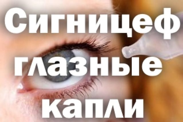 Глазные капли Сигницеф: инструкция по применению, аналог