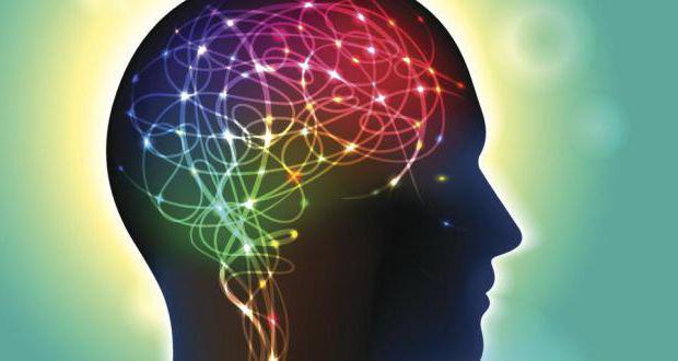 Ноотропил капсулы - официальная инструкция по применению, аналоги