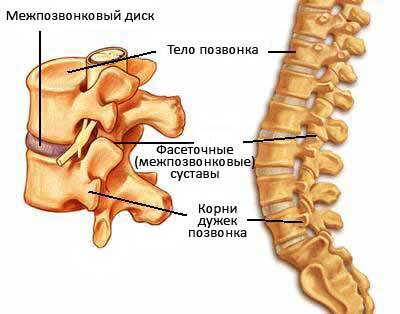Компрессионный перелом позвоночника - лечение и реабилитация