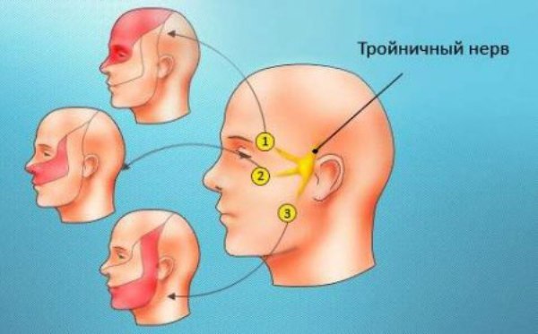 Зуб мудрости - как выглядит: описание, особенности, сроки прорезывания