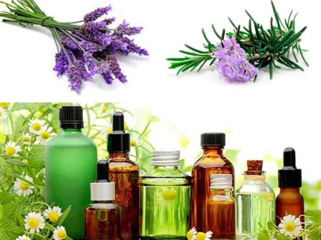 Ингаляции при кашле взрослым и детям - показания и противопоказания, правила проведения. Травы, эфирные масла и лекарственные препараты для ингаляции при кашле