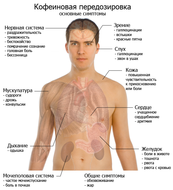 Польза и вред кофе для здоровья человека