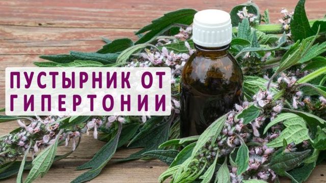 Настойка пустырника - инструкция по применению и противопоказания