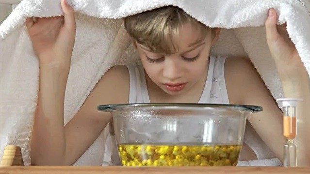 Ингаляции при кашле взрослым и детям - показания и противопоказания, правила проведения. Травы, эфирные масла и лекарственные препараты для ингаляции при кашле