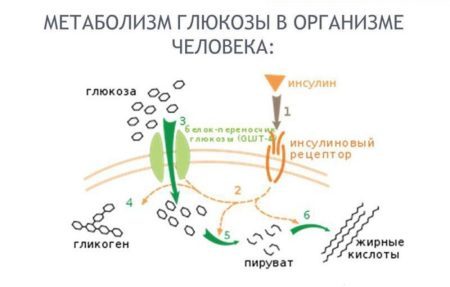 Сахар 6 2 это много - Лечение диабета