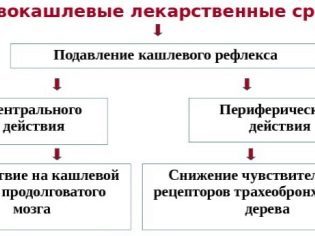Омнитус сироп от кашля для детей — инструкция по применению лекарства