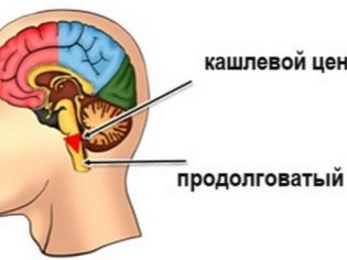 Омнитус сироп от кашля для детей — инструкция по применению лекарства