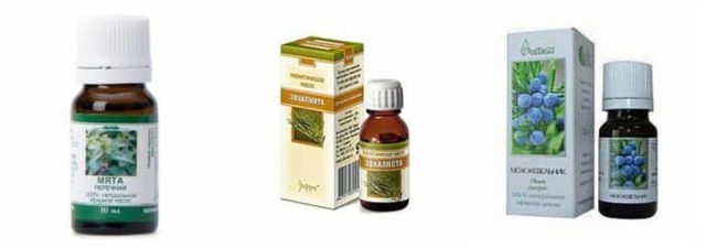 Ингаляции при кашле взрослым и детям - показания и противопоказания, правила проведения. Травы, эфирные масла и лекарственные препараты для ингаляции при кашле