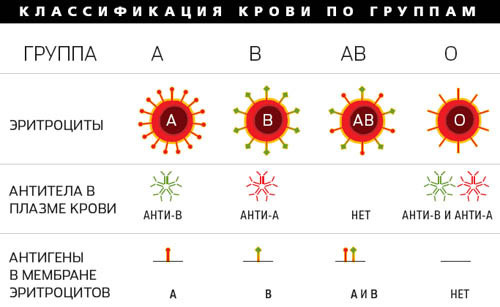 Самая распространенная группа крови