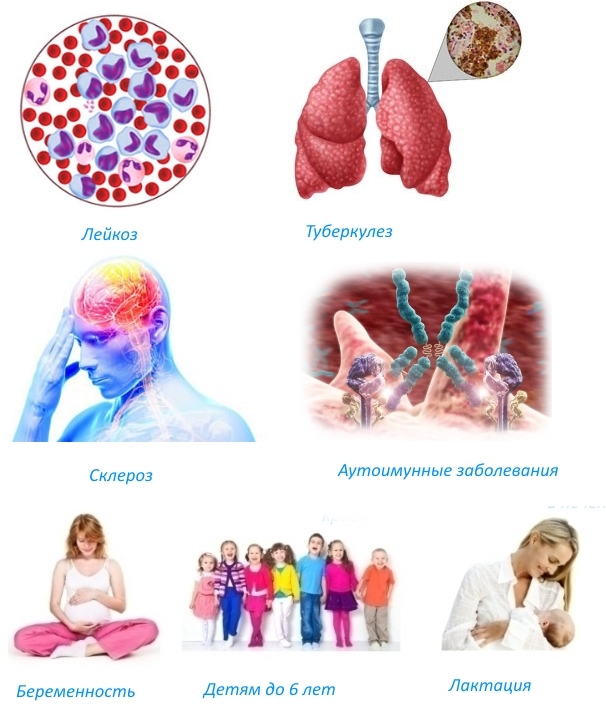 Инструкция Траумель в ампулах: показания к применению