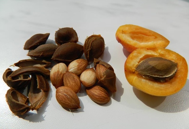 Гепатоз печени - симптомы и лечение народными средствами, диета