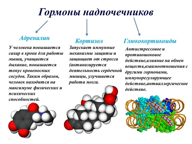 Дюфастон – инструкция по применению при планировании беременности, состав, побочные действия и цена