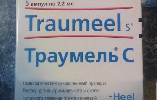 Инструкция Траумель в ампулах: показания к применению