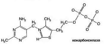 КОКАРБОКСИЛАЗА - инструкция по применению, цена, отзывы и аналоги