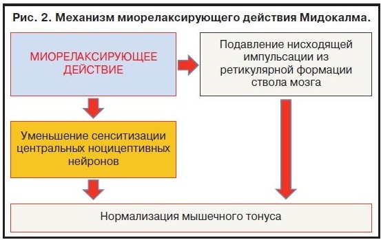 Толперизон – инструкция по применению и механизм действия, дозировка, противопоказания и аналоги