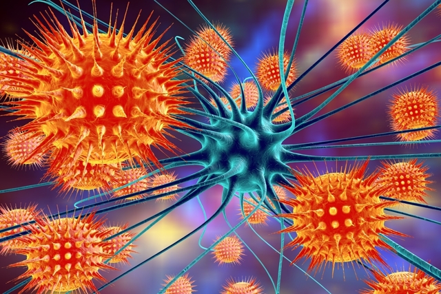 Клещевой энцефалит: диагностика, симптомы и лечение заболевания