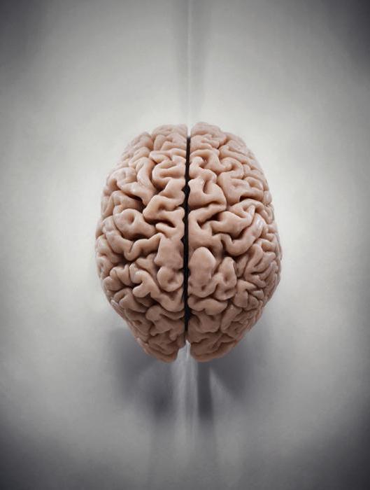 Ноотропил капсулы - официальная инструкция по применению, аналоги