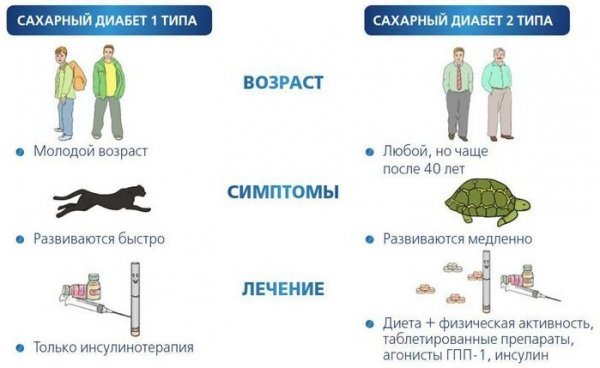 Сахарный диабет у детей и подростков. Диабет и эндокринные заболевания