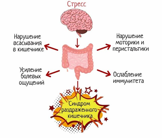 Синдром раздраженного кишечника и стресс: причины, симптомы и лечение