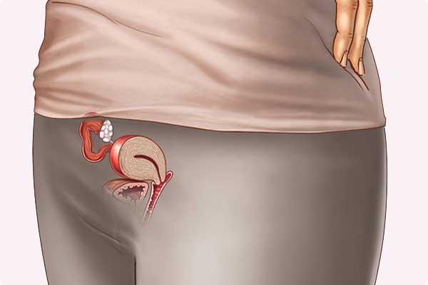 2 неделя беременности. Что происходит когда беременность 2 недели. Симптомы, признаки и ощущения на второй неделе беременности после зачатия с фото и видео