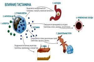 Инструкция по применению мази Преднизолон - показания