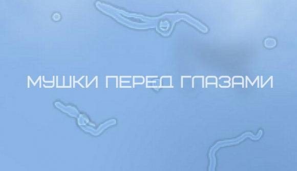 Мушки перед глазами. Причины, лечение и заболевания при которых бывают мушки в глазах.