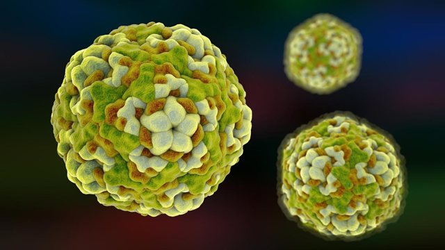 Энтеровирусная инфекция у детей: симптомы, лечение, возможные осложнения