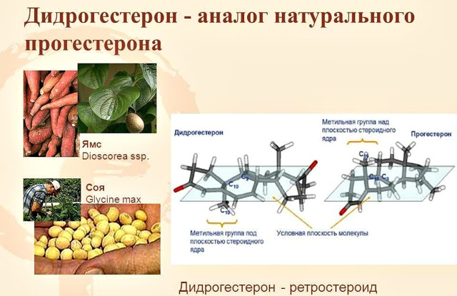 Дюфастон – инструкция по применению при планировании беременности, состав, побочные действия и цена