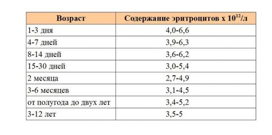 Повышенные эритроциты в крови у взрослого или ребенка - что это значит и почему бывает