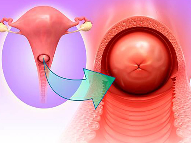 Метилурацил свечи: инструкция по применению и для чего он нужен, цена, отзывы, аналоги